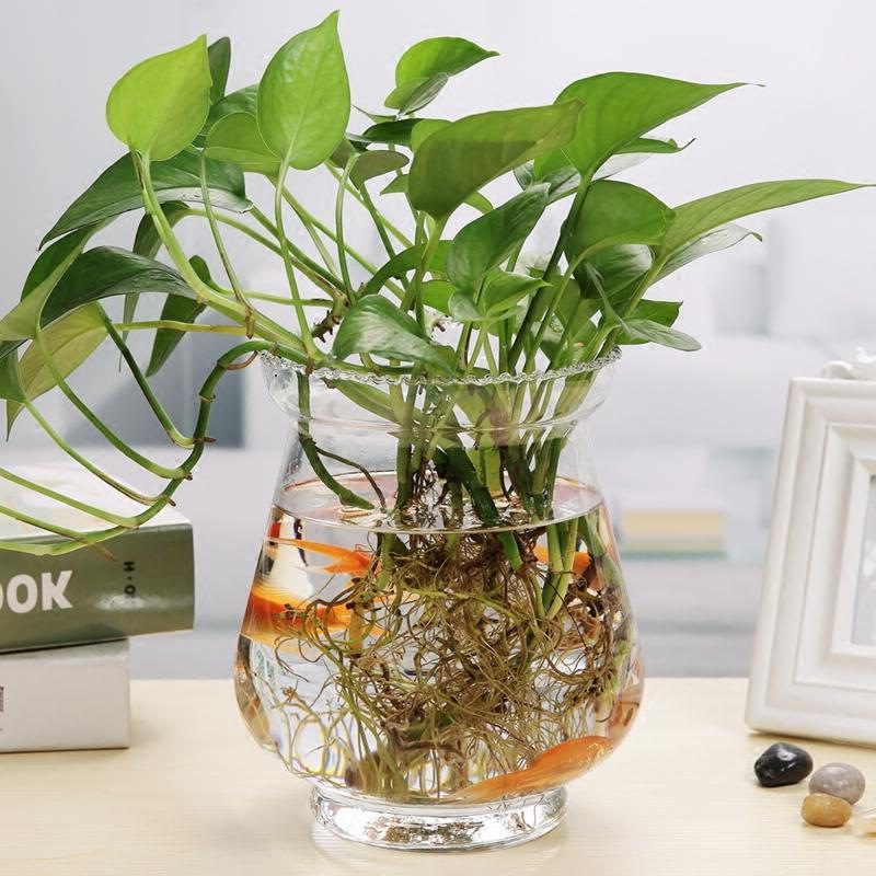 Wholesale Glass Vase HP-043 - Image 3